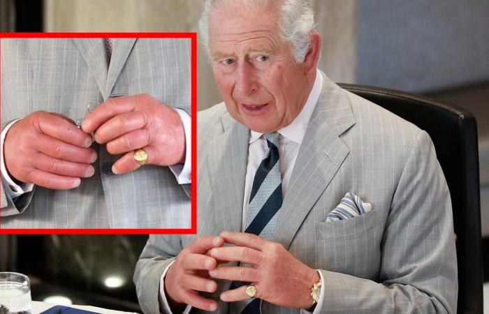 König Charles zu krank zum regieren! Sorgen um dieses Foto - Experten ahnen Schlimmes!
